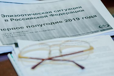 В проекте бюджета заложены субсидии на поддержку сельского хозяйства